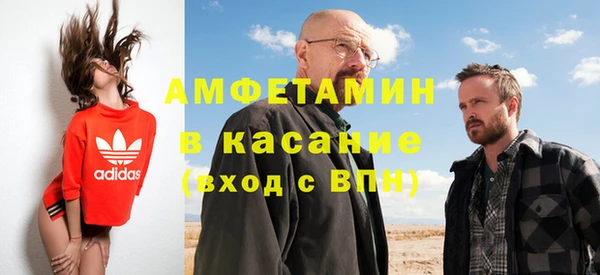 шишки Няндома