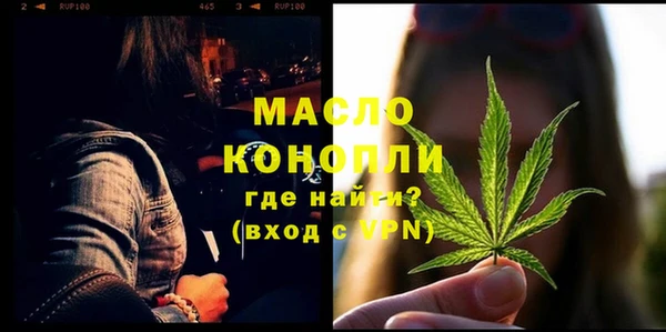гидра Новодвинск