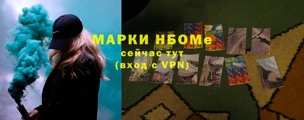 шишки Няндома