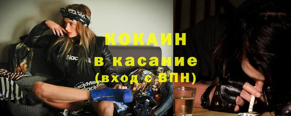 шишки Няндома