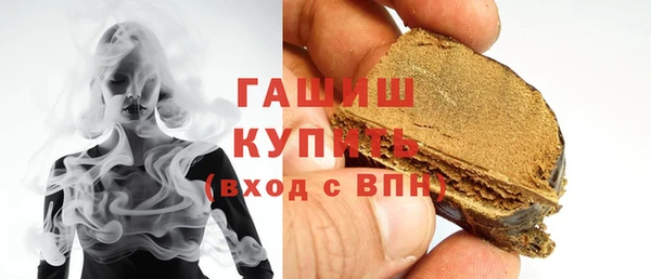 шишки Няндома