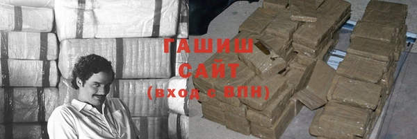 шишки Няндома