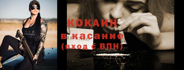 шишки Няндома