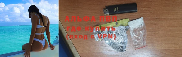 PSILOCYBIN Нязепетровск