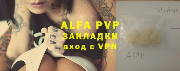 шишки Няндома