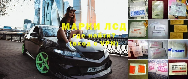 шишки Няндома
