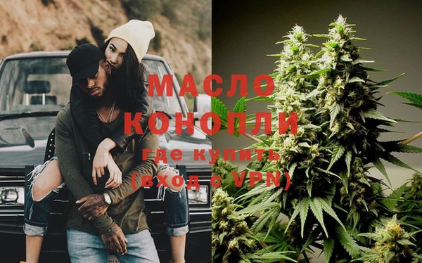 шишки Няндома