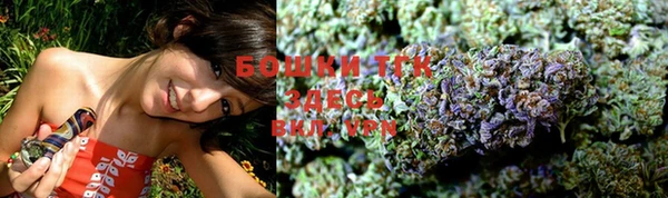 PSILOCYBIN Нязепетровск