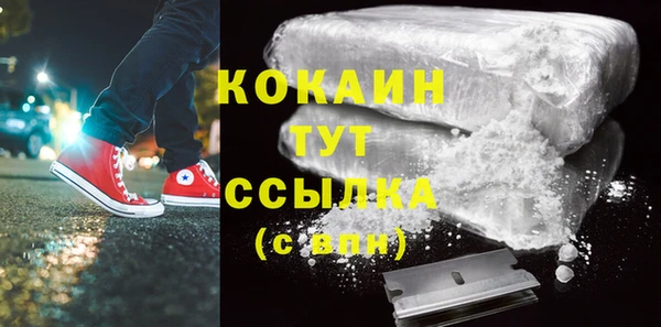гидра Новодвинск