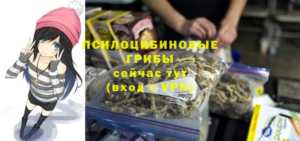 меф Нягань