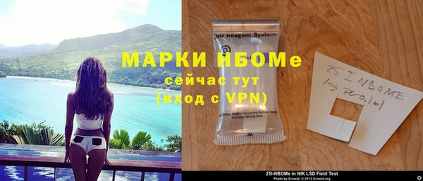шишки Няндома
