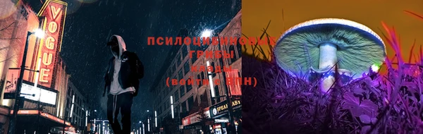 меф Нягань