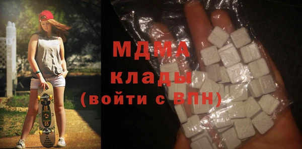 шишки Няндома