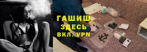 шишки Няндома