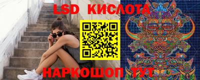крисы Донской