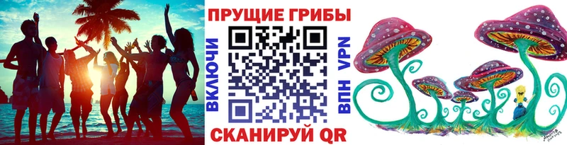 Галлюциногенные грибы GOLDEN TEACHER  продажа наркотиков  Ливны 