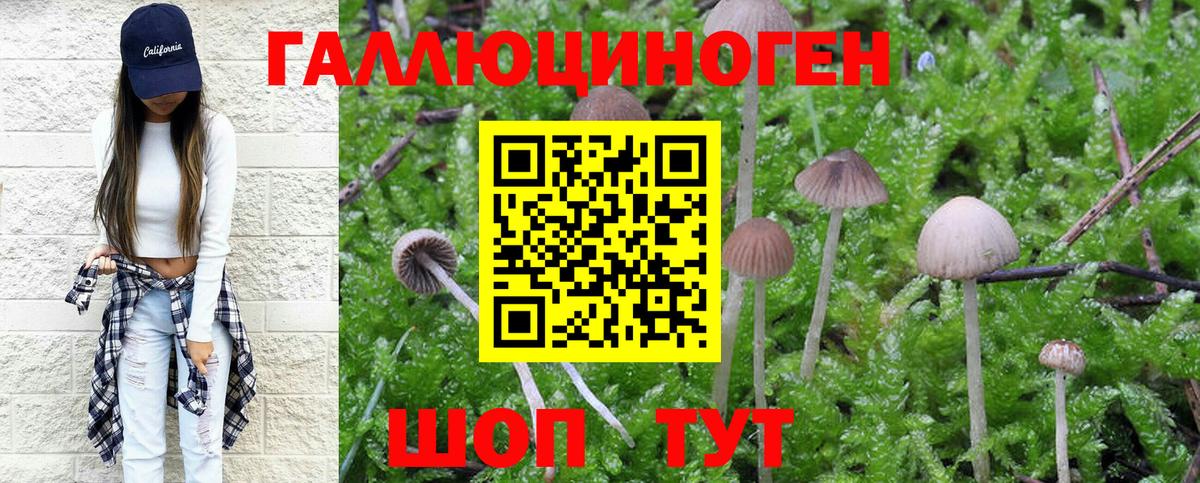 Галлюциногенные грибы Magic Shrooms Ливны