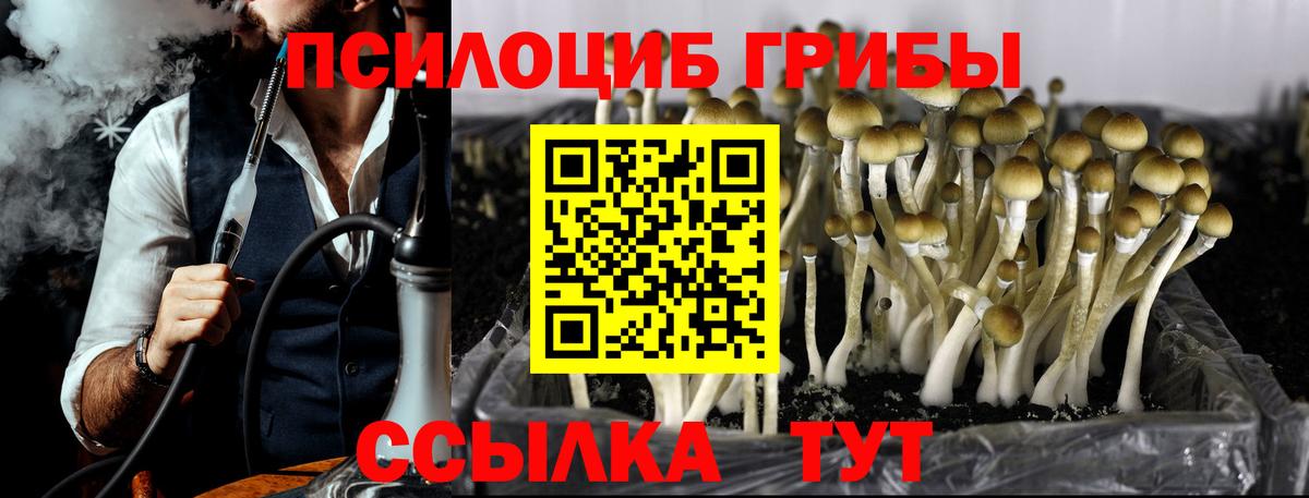 Ливны  Псилоцибиновые грибы GOLDEN TEACHER  Вход с VPN 