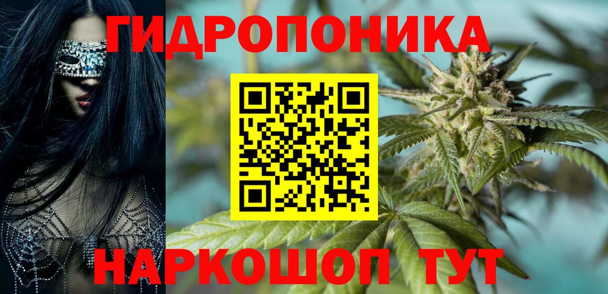 Бошки Шишки конопля  Конопля Amnesia  Ливны 